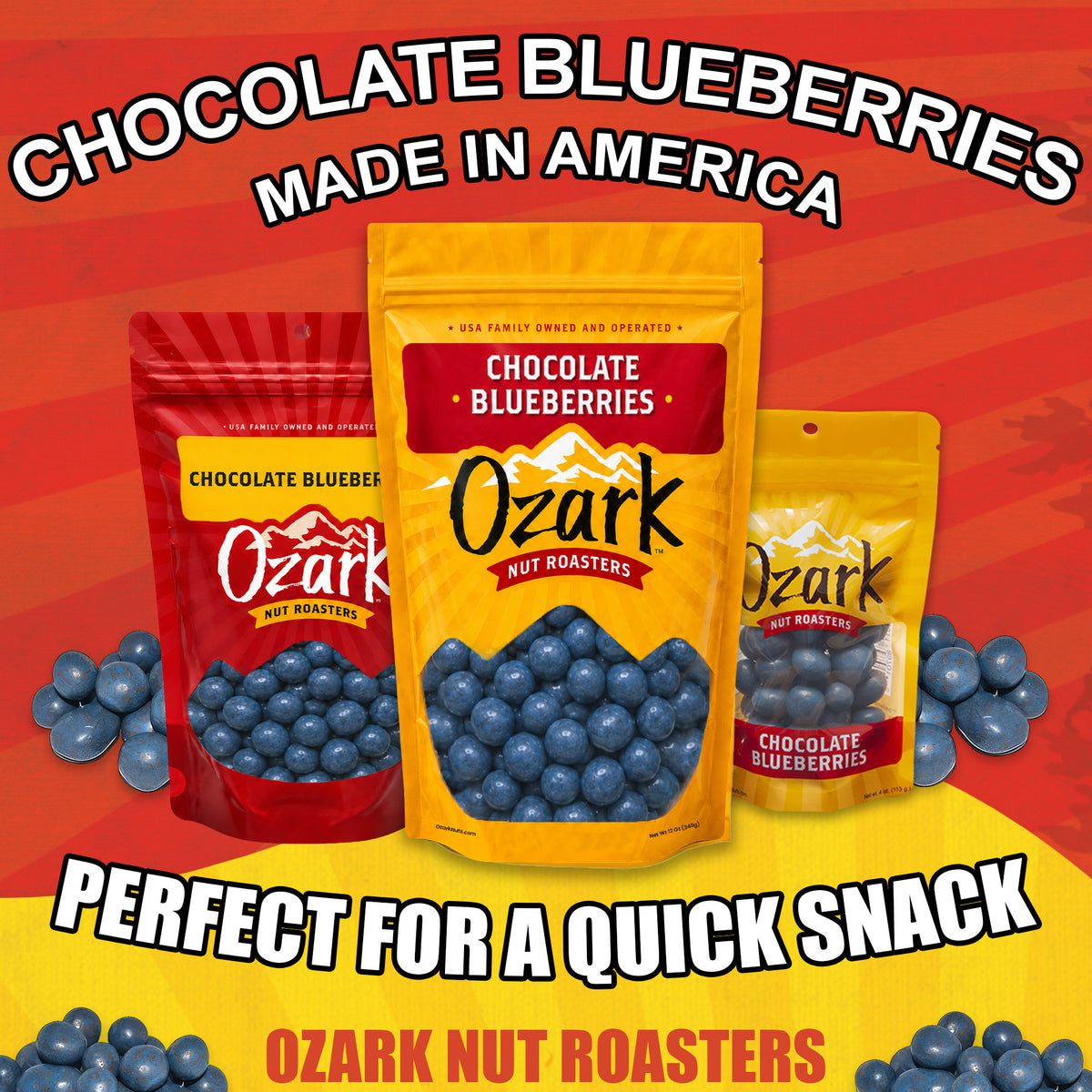 OZARK NUT ROASTERS, Chocolate Blueberries, Flavored Snack Nuts, World-Class Gourmet Candied Peanuts, 4 Ounces Resealable Pack…